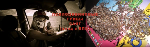 героин Кукмор