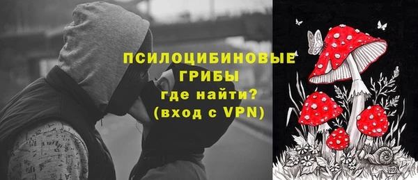 ешки Ессентукская