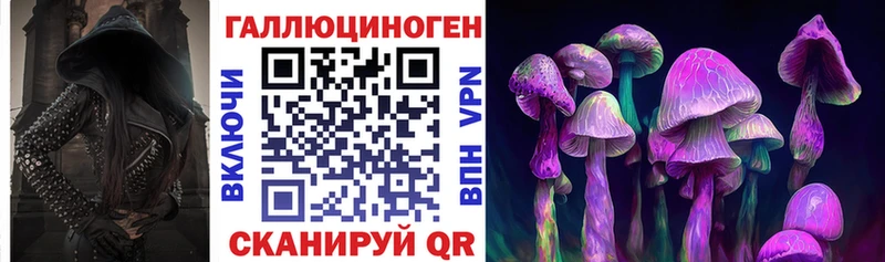 где купить наркотик  Ртищево  Галлюциногенные грибы прущие грибы 