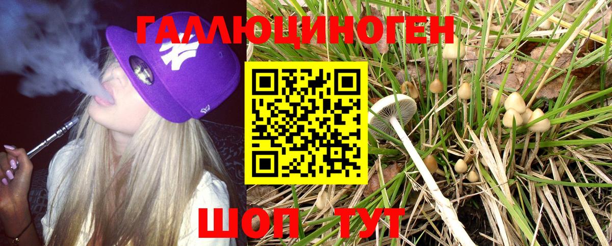 Псилоцибиновые грибы GOLDEN TEACHER Ртищево